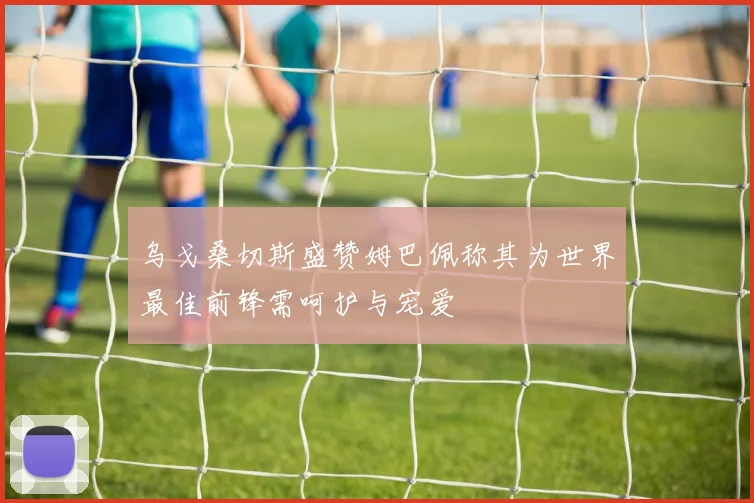 乌戈桑切斯盛赞姆巴佩称其为世界最佳前锋需呵护与宠爱